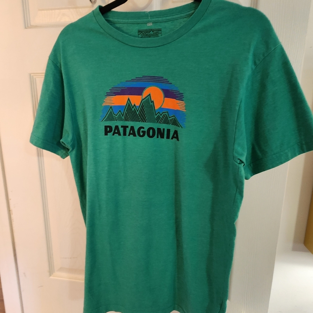 Patagonia Teal T-Shirt with Vibrant Graphic. Slim Fit. Brand New Without Tag - Picture 3 of 6